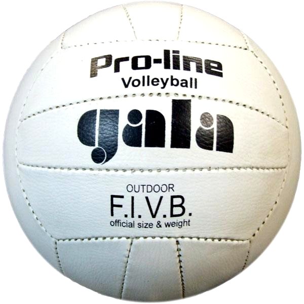 Мяч волейбольный Gala Pro-Line (05009) купить | ELMIR - цена, отзывы ...