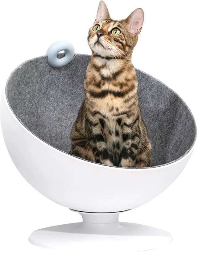 Порно жеті блять жезөкше