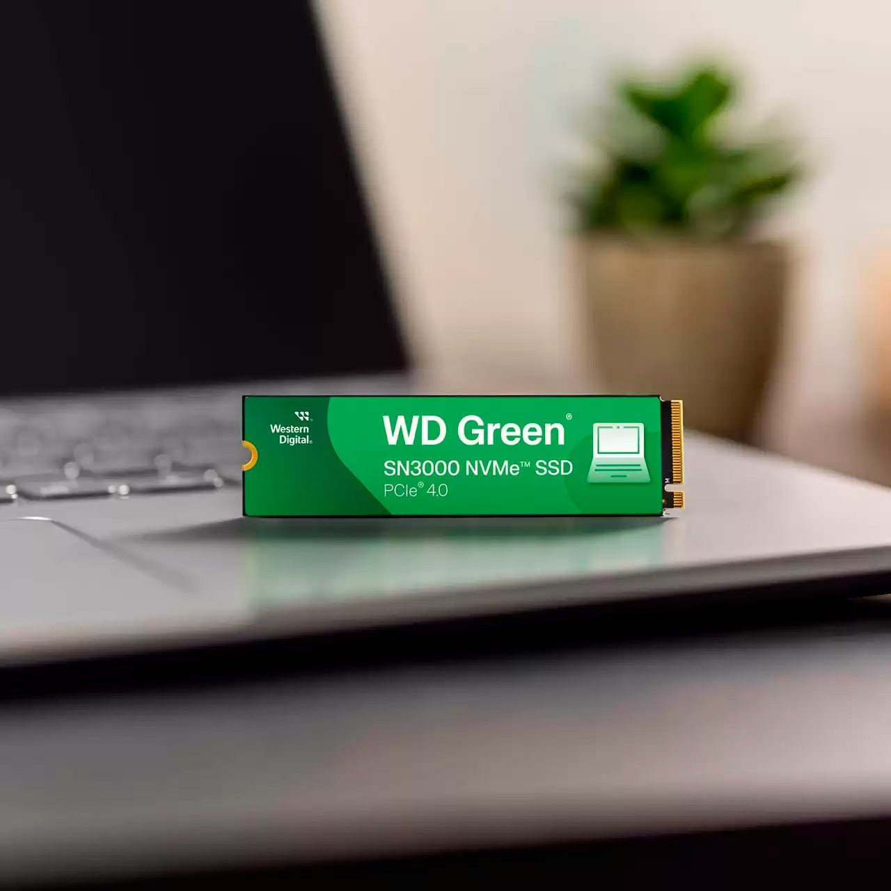 SSD-накопитель M.2 2TB WD Green SN3000 (WDS200T4G0E) купить 